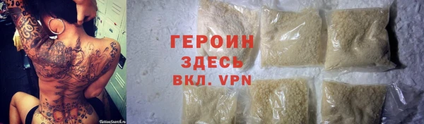хмурый Аркадак