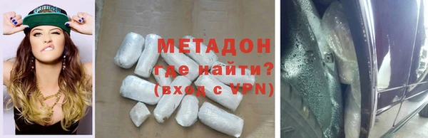 хмурый Аркадак
