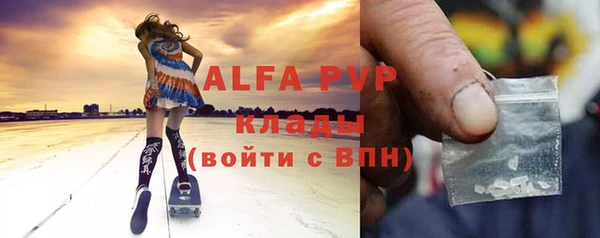 хмурый Аркадак