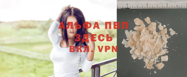 хмурый Аркадак