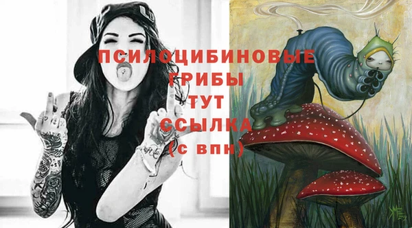 хмурый Аркадак