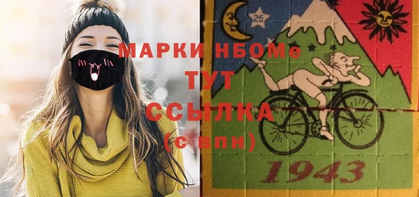 хмурый Аркадак