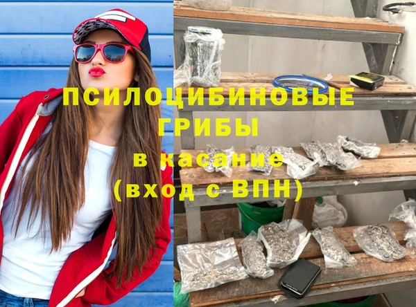 хмурый Аркадак