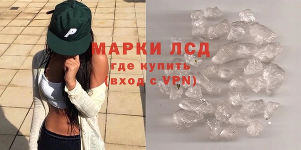 хмурый Аркадак