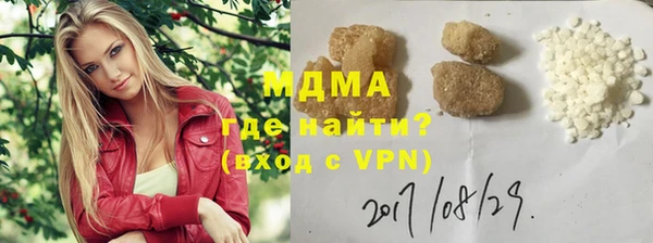 хмурый Аркадак