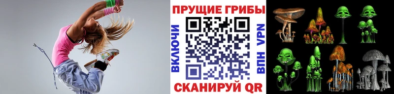 Купить закладки  Пестово  Галлюциногенные грибы GOLDEN TEACHER 